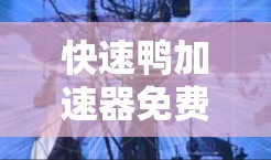 快速鸭加速器免费使用时间