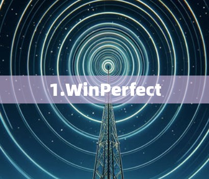 1.WinPerfect 1.WinPerfect