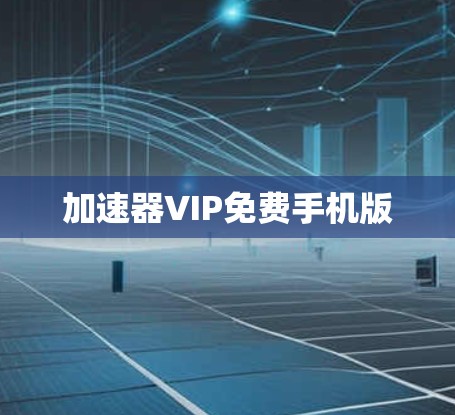 加速器VIP免费手机版