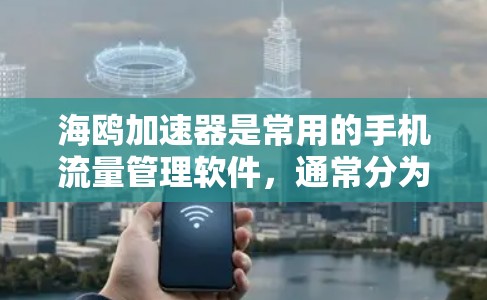 海鸥加速器是常用的手机流量管理软件,通常分为免费版和付费版。免费版是永久免费的,用户可以在其上添加流量、使用超速功能,同时可以关闭加速器。以下是关于免费版的详细信息