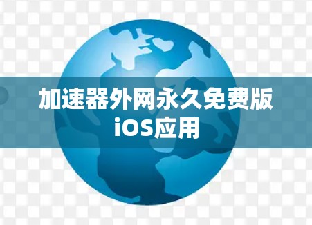 加速器外网永久免费版iOS应用