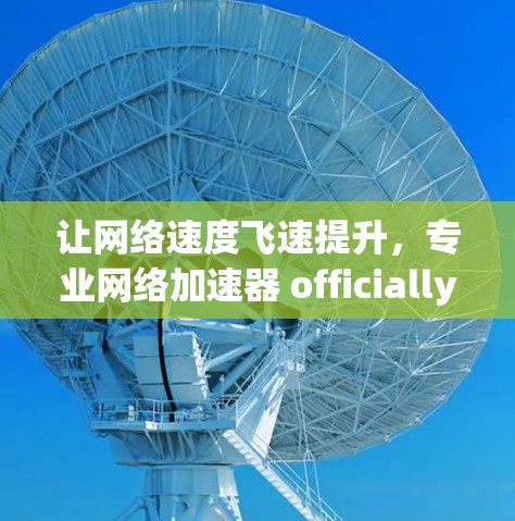 让网络速度飞速提升,专业网络加速器 officially上线!免费版 officially发布,专业版 officially开启!