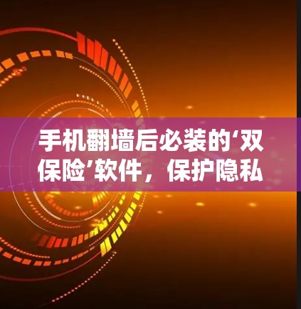 手机翻墙后必装的‘双保险’软件，保护隐私与安全，防止网络攻击