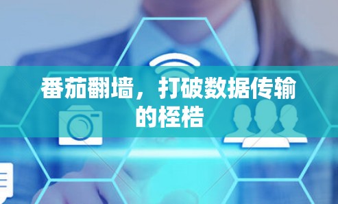 番茄翻墙,打破数据传输的桎梏