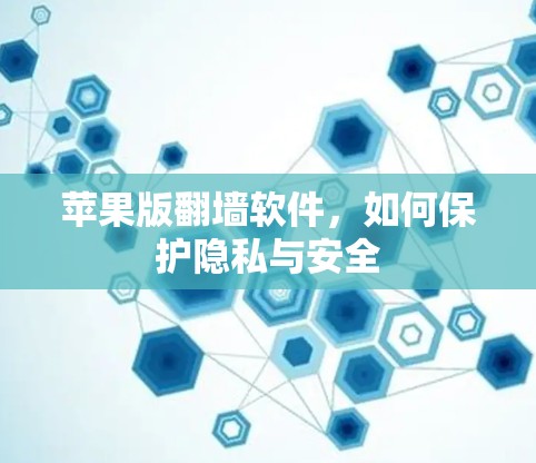 苹果版翻墙软件,如何保护隐私与安全