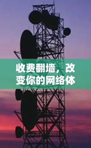 收费翻墙，改变你的网络体验的必选服务？