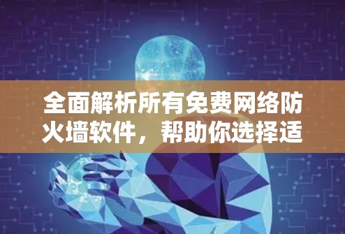 全面解析所有免费网络防火墙软件,帮助你选择适合的解决方案 全面解析所有免费网络防火墙软件,帮助你选择适合的解决方案