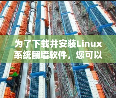 为了下载并安装Linux系统翻墙软件，您可以按照以下步骤进行