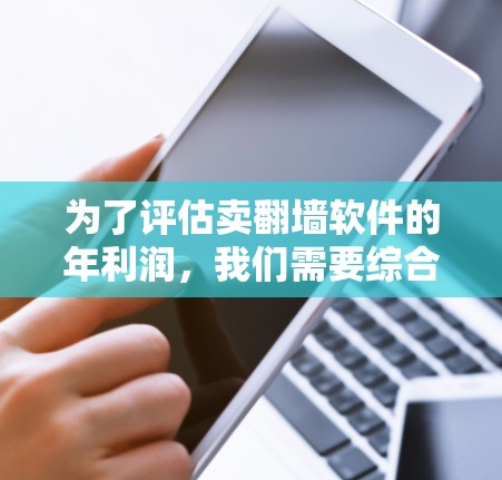 为了评估卖翻墙软件的年利润，我们需要综合考虑多种因素，以下是一些关键点