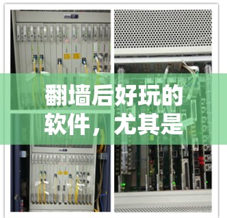 翻墙后好玩的软件，尤其是针对知乎这样的平台，是一个非常有趣且复杂的问题。以下是一些可能适合你考虑的翻墙后好玩的软件推荐，以及它们在翻墙后的体验