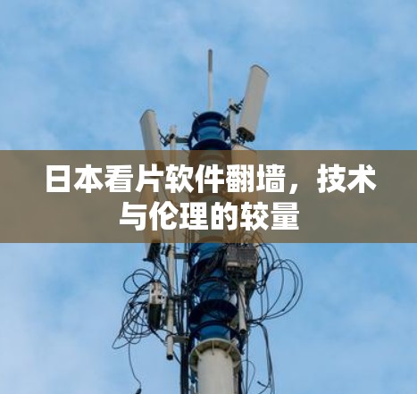 日本看片软件翻墙，技术与伦理的较量