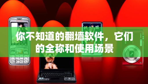 你不知道的翻墙软件，它们的全称和使用场景