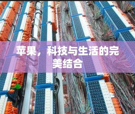 苹果,科技与生活的完美结合 苹果,科技与生活的完美结合