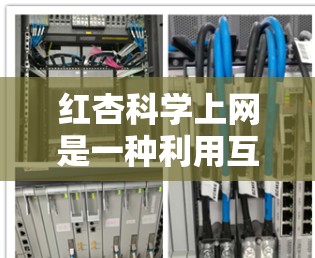 红杏科学上网是一种利用互联网获取关于红杏科学信息的方法,旨在帮助用户获取知识、参与科研项目和促进科学研究。以下是详细的步骤指南 红杏科学上网是一种利用互联网获取关于红杏科学信息的方法,旨在帮助用户获取知识、参与科研项目和促进科学研究。以下是详细的步骤指南