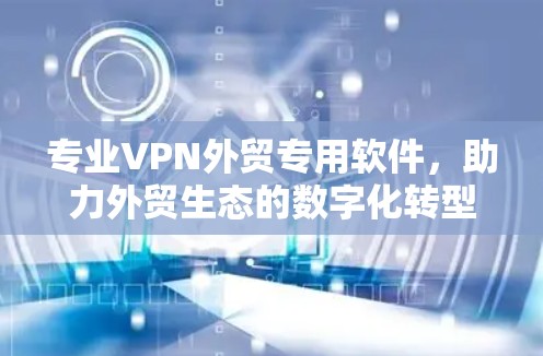 专业VPN外贸专用软件，助力外贸生态的数字化转型
