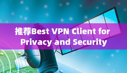 推荐Best VPN Client for Privacy and Security