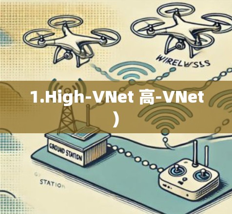 1.High-VNet 高-VNet) 1.High-VNet 高-VNet)