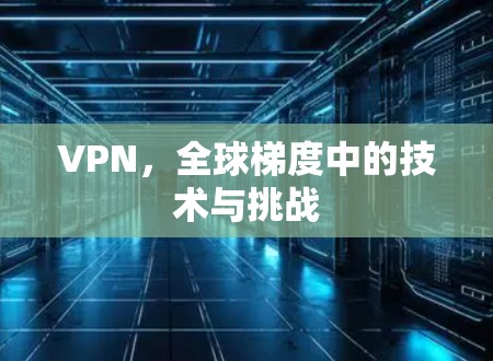 VPN,全球梯度中的技术与挑战 VPN,全球梯度中的技术与挑战