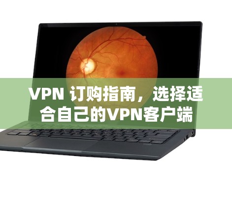 VPN 订购指南,选择适合自己的VPN客户端 VPN 订购指南,选择适合自己的VPN客户端