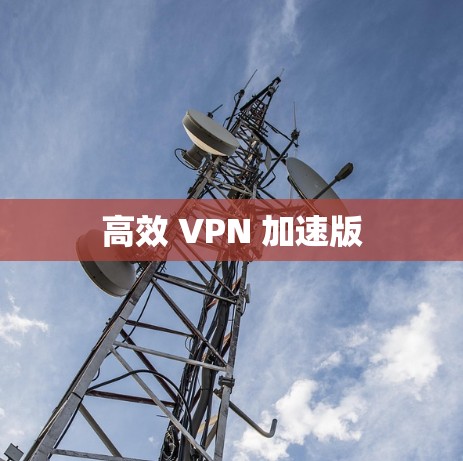高效 VPN 加速版 高效 VPN 加速版