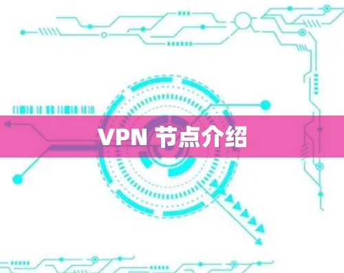 VPN 节点介绍 VPN 节点介绍