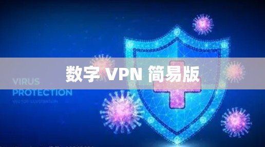 数字 VPN 简易版 数字 VPN 简易版