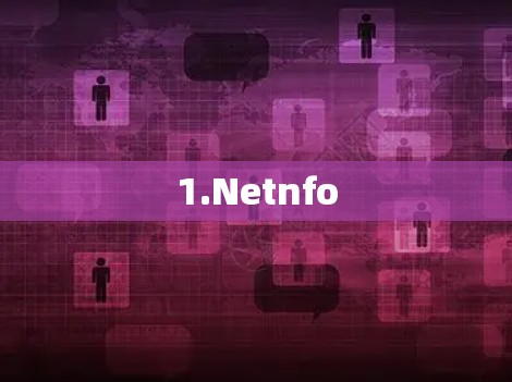 1.Netnfo 1.Netnfo