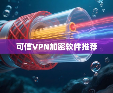 可信VPN加密软件推荐