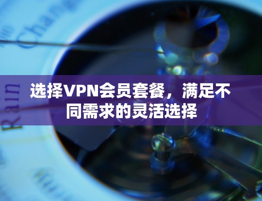 选择VPN会员套餐，满足不同需求的灵活选择