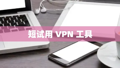 短试用 VPN 工具