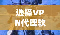 选择VPN代理软件时，应基于以下几点考虑