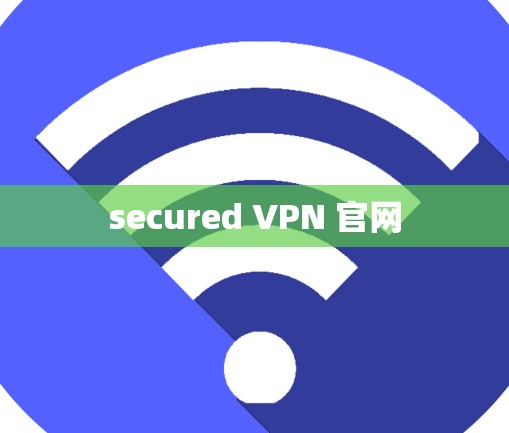secured VPN 官网 secured VPN 官网