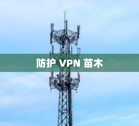 防护 VPN 苗木